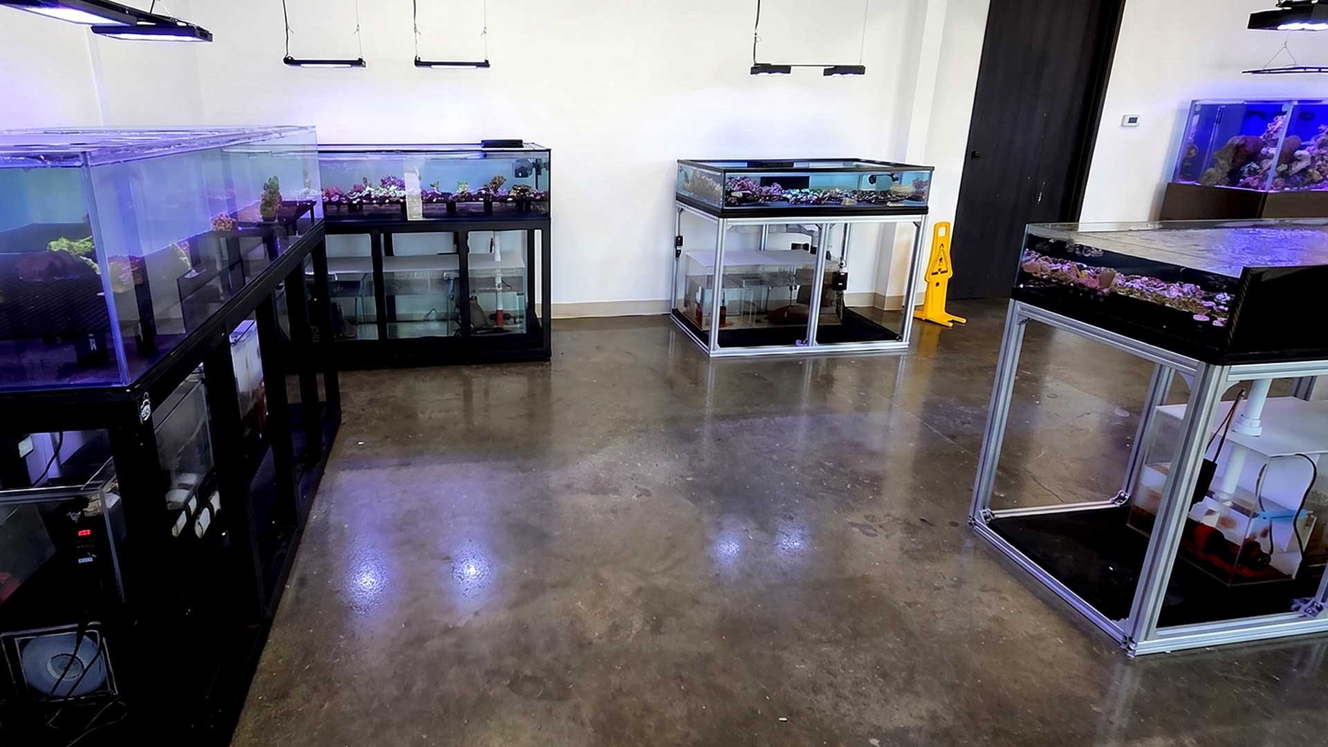 Fish By Design showroom interior