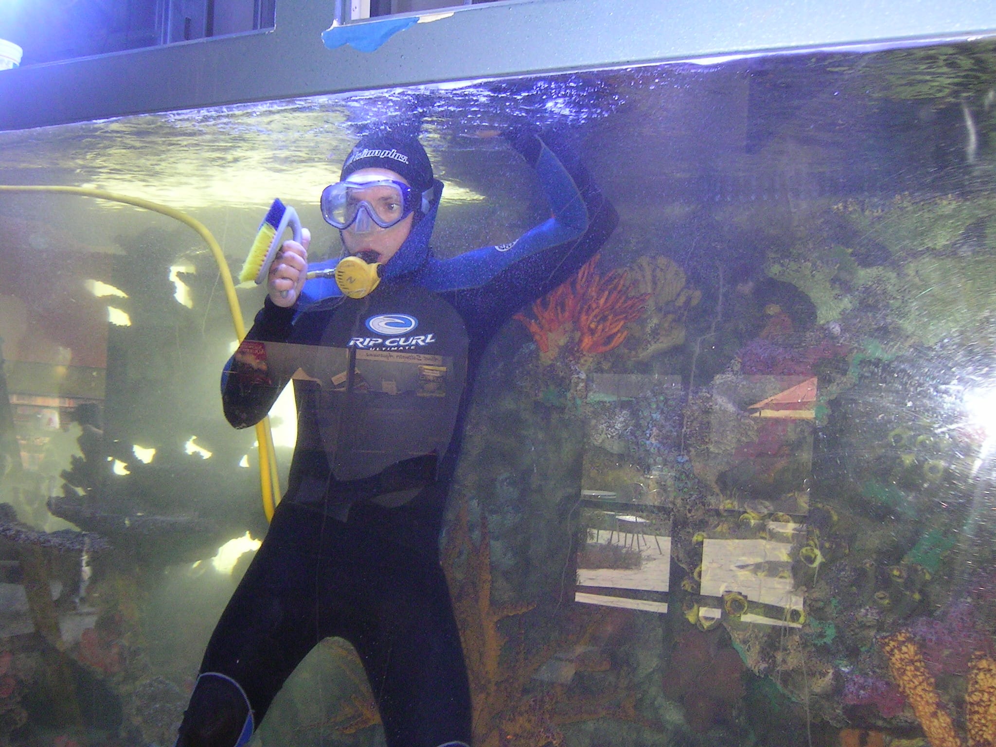 Fish By Design aquarium under professional maintenance