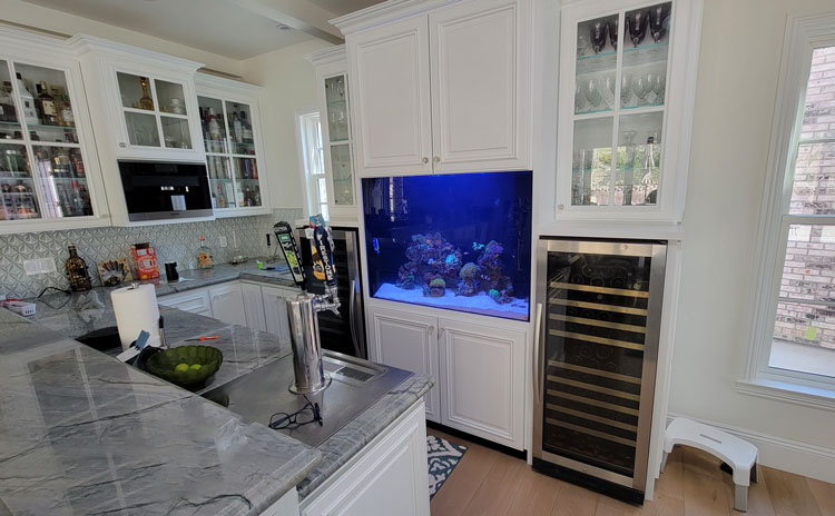 custom aquarium builders