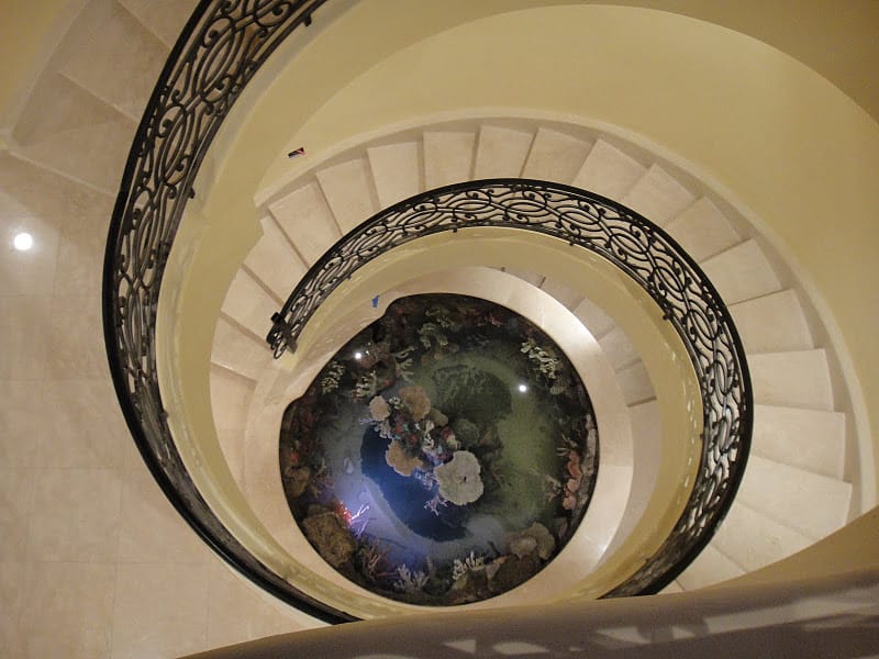 Completed custom aquarium installation showing architectural integration