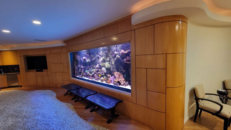 Reef aquarium vs freshwater luxury home Los Angeles