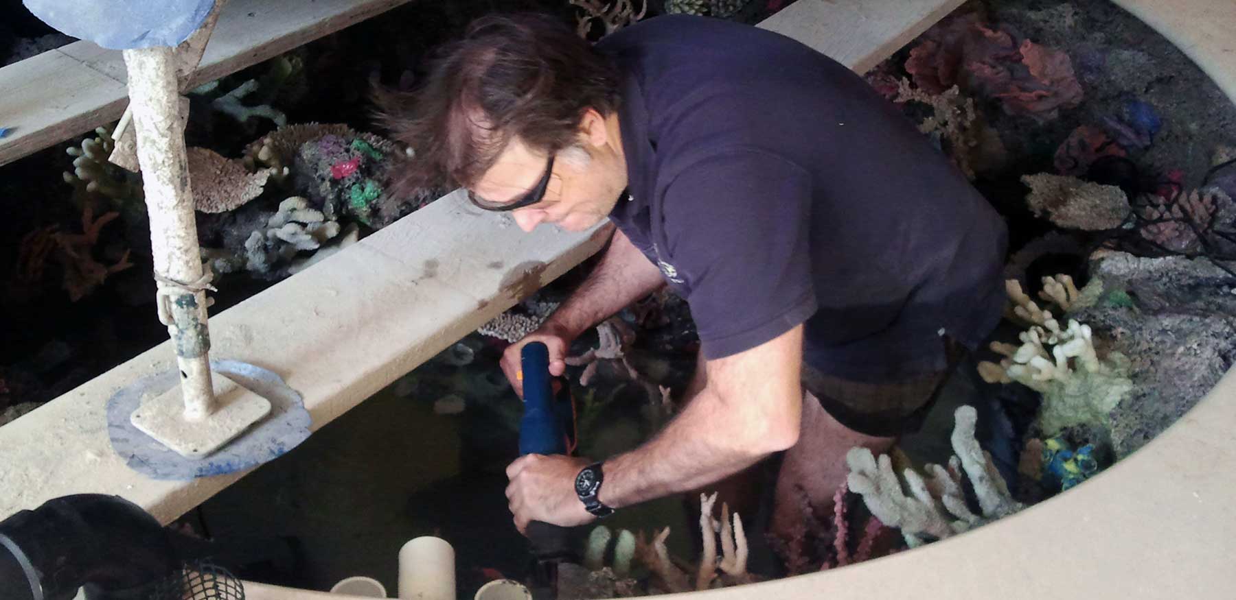 circular-aquarium-custom-reef-insert-construction-westlake