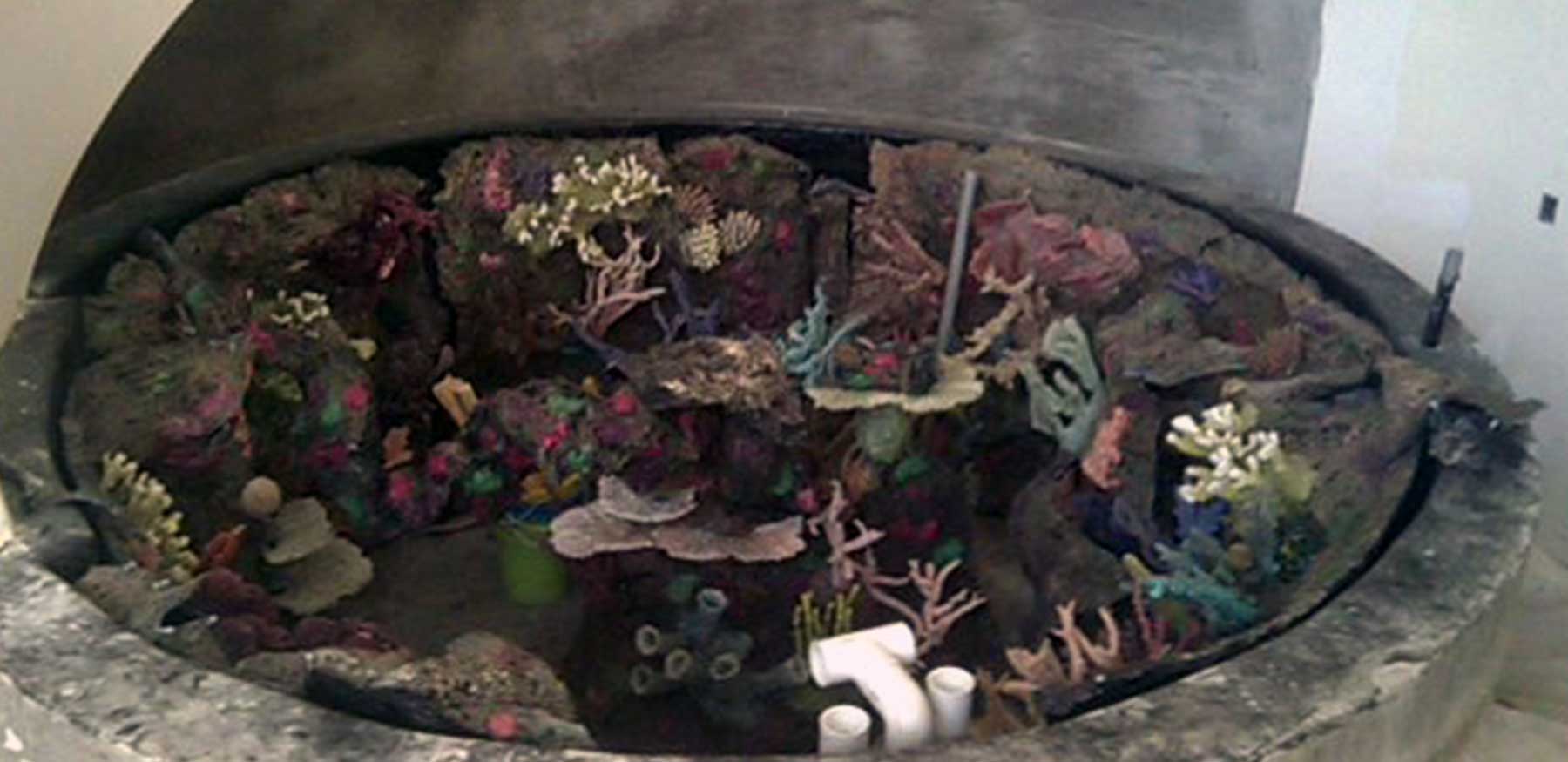 circular-aquarium-aerial-view-completed-reef-structure