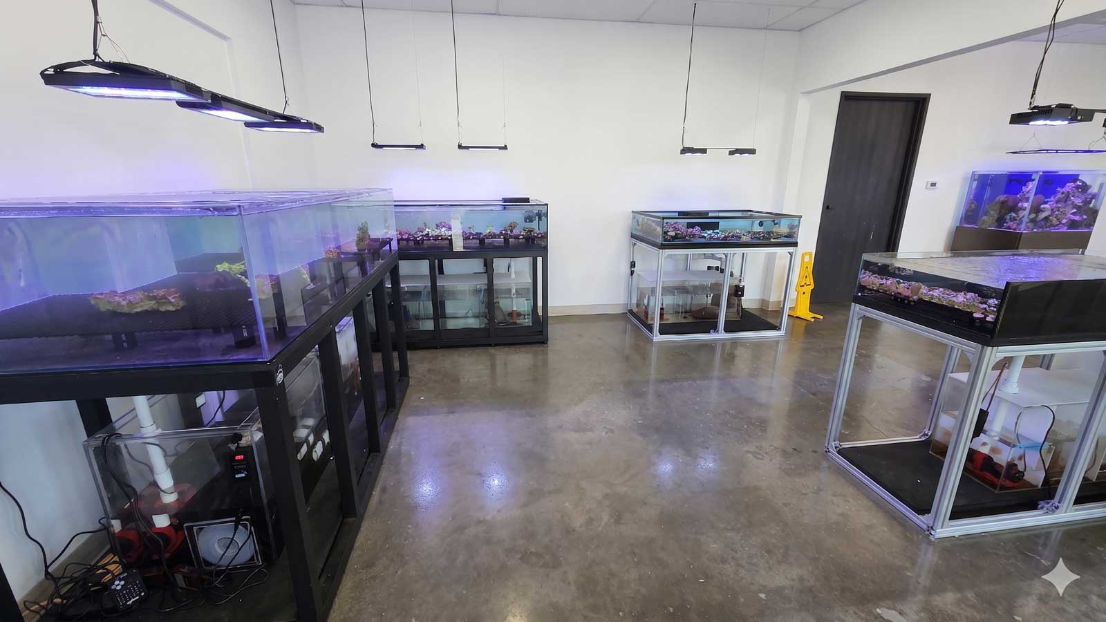 Fish By Design Westminster showroom aquarium store