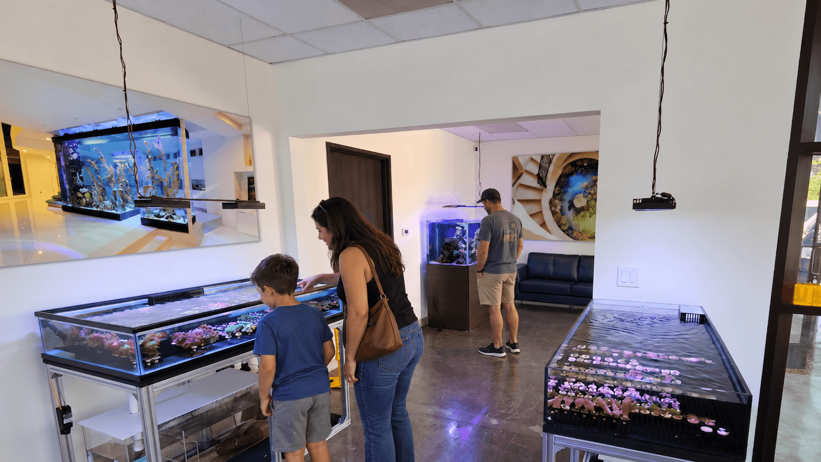 Fish By Design showroom interior